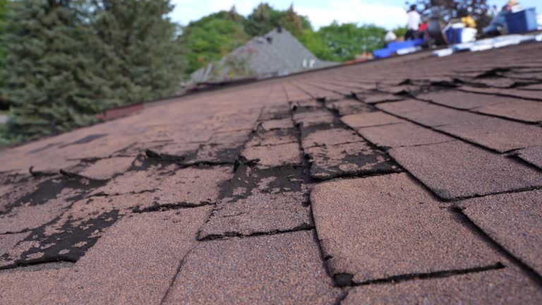 Best Roof Leak Repair  in Odenton, MD