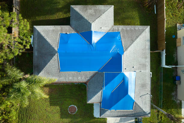Best Roof Maintenance and Cleaning  in Odenton, MD