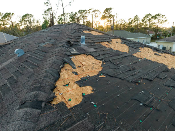 Trusted Odenton, MD Roofing Service Experts
